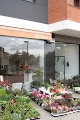Negocio Floristeria El Vall