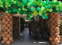 Negocio Globo Image