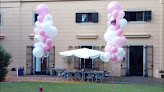Un Mar De Globos -globos Impresos Y Decoración Con Globos